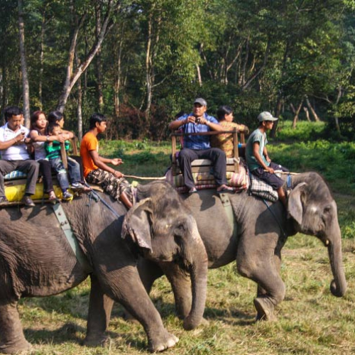 Tirumala Adventure Tours - Happy Customer -10