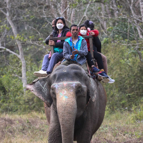 Tirumala Adventure Tours - Happy Customer -7